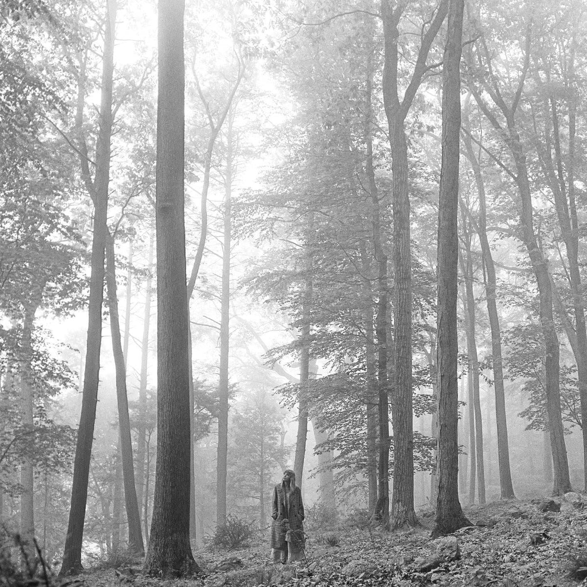 Album cover artwork for Taylor Swift's folklore displaying a Person standing in a foggy forest with tall trees